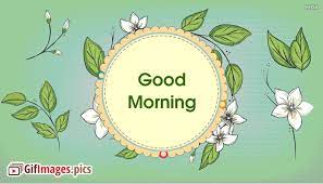 good morning flowers jasmine images gif