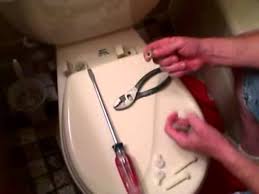 Remove Toilet Seat Replacing A Toilet