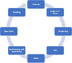 world rugby pport circuit training