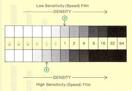 The Photographic Process And Film Sensitivity
