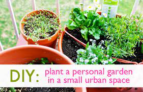 Diy How To Plant A Personal Garden In