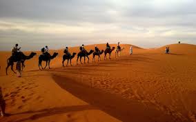 Been working for red sun camels for over 7 years now. Camel Riding Is It Ethical And What Is A Trekking Expedition Like