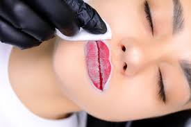 lip blush course for beginners spmu