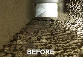5 star professional carpet cleaning