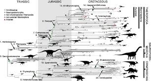 Seeing The Forest From The Dinosaurs Gene Expression