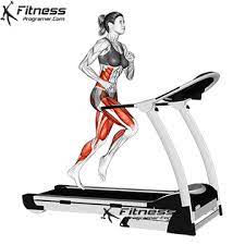 run treadmill to lose belly fat
