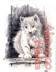 Animal groups roleplay wiki was founded in june of 2014. Cat Kucing Drawing By Alam Muammar Artmajeur