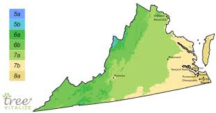 Planting Zones Virginia Hardiness