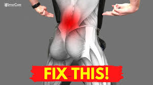 The biggest muscle is lats muscle, then there are traps muscle and your lower back. How To Fix Your Lower Back Pain For Good Youtube
