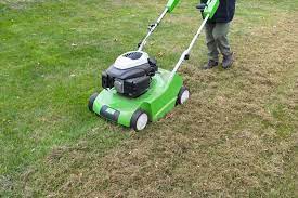 Yes, there are gas powered lawn dethatchers but we find the electric ones to be far better. The Best Lawn Dethatchers And How To Use Them Prince Gardening