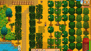 Plant An Oak Tree In Stardew Valley