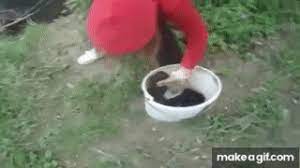 Sorry but i can't get a link to the video from 'the sun newspaper' as it says it's copyrighted material but there is a video and if you need to see this to. Girl Throwing Puppies Into River Real Video On Make A Gif