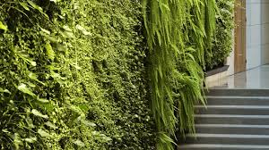 Green Fortune - Green wall