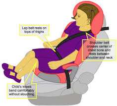 The Car Seat Ladybooster Science How