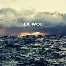 meaning of dear fellow traveler by sea wolf