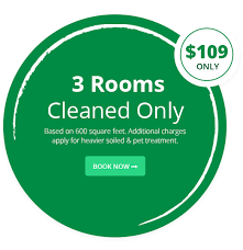 carpet cleaning 3 rooms for 109 in