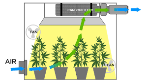air circulation in indoor cans grow