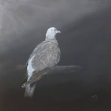 pigeon 1 156 original artworks