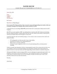 Resume CV Cover Letter  sap fico consultant resume download  cover     