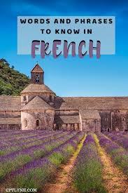 easy french phrases to know when you visit