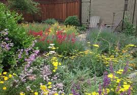 Gardens Gone Native Garden Tour