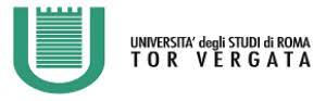 Its programme fully taught in english represents a privileged reference for companies that, in order to develop their international operations. Master Of Science In Business Administration From University Of Rome Tor Vergata Fees Requirements Ranking Eligibility Scholarship