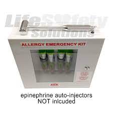 Allergy Emergency Kit Wall Cabinet
