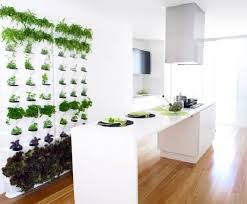 12 Kitchen Herb Gardens To Inspire
