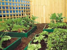 how to build a self sufficient garden