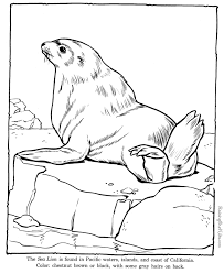Make a coloring book with library lion for one click. Sea Lion Coloring Pages Zoo Animals Zoo Animal Coloring Pages Lion Coloring Pages Animal Drawings