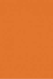 Picasso Acrylic Color 301 Orange