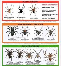 Us Spider Chart It Will Be Warm Soon And Thats When I See