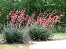 Top 7 Houston Landscaping Ideas Front