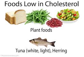 Cholesterol Functions Foods High Low Charts Ldl Hdl Total