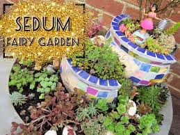 Planting A Sedum Fairy Garden