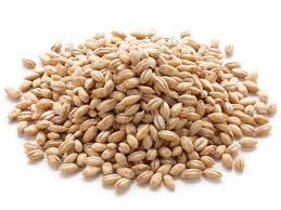 barley nutrition facts eat this much