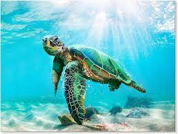Green Sea Turtle Wall Decor Tropical