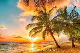 barbados caribbeanislands com