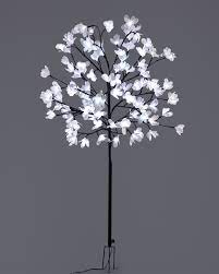 A cherry blossom is a flower of many trees of genus prunus or prunus subg. Solar Magnolia Tree Aldi Uk