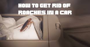 how to get rid of roaches in a car