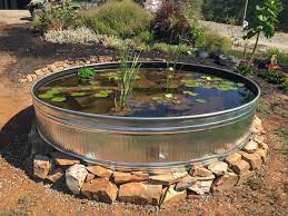 Lily Pond Using A Stock Tank