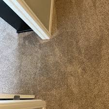 carpet repair near longmont co 80501