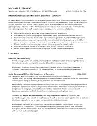 Resume Objective Examples Non Profit Awesome Collection