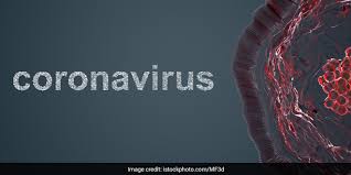 Decades of coronavirus studies provide a blueprint for the 2019 novel coronavirus. Coronavirus Outbreak Explained What Is A Coronavirus And Covid 19 Coronavirus Explainers
