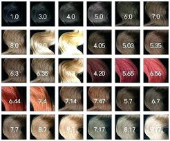 Pravana Hair Color Chart Pictures Lajoshrich Com