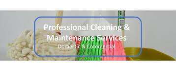 bliss cleaning maintenance services