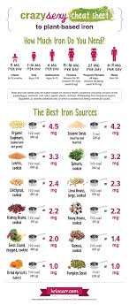 Plant Based Iron Rich Foods Top 12 Sources Infographic