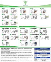 Amazon Com Exercise Poster For Whole Body Vibration