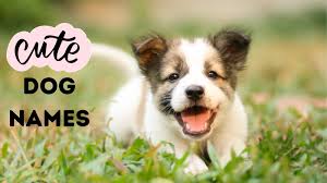 140 cute dog names for your little or