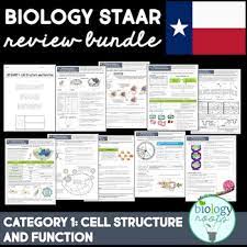 It is essential that all students prepare for this important state test because it includes topics from the. Staar Biology Worksheets Teaching Resources Teachers Pay Teachers
